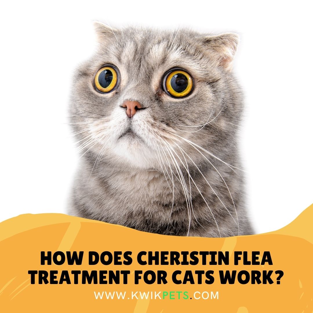 Cheristin For Cats: Flea Treatment Medication